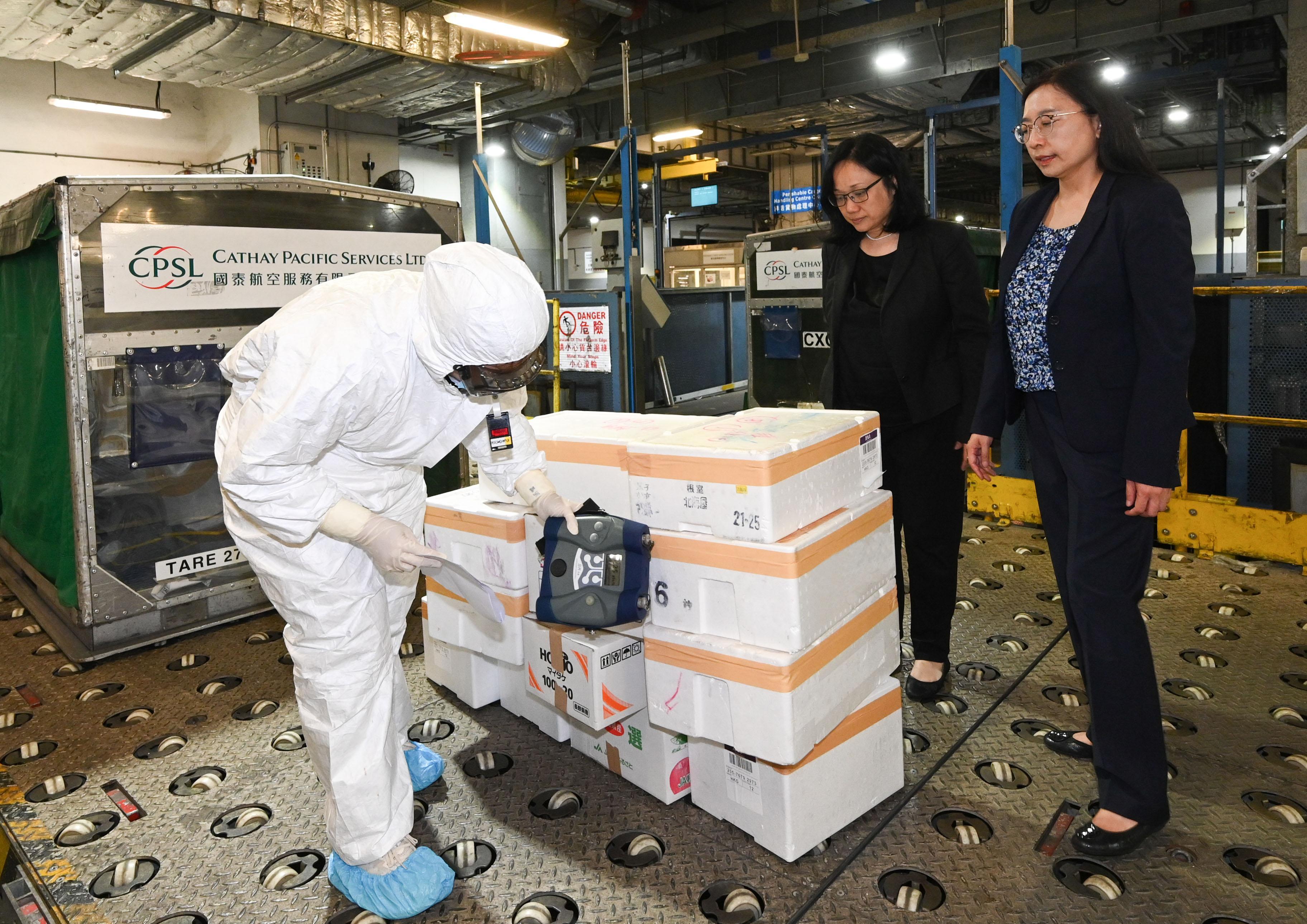 楊碧筠到機場視察日本進口食品的清關及檢測程序。(政府新聞處)