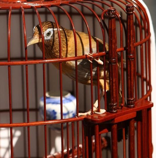 香港夜繽紛|灣仔海濱 「海濱遊藝坊」