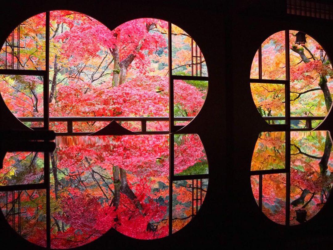 京都紅葉景點|祐齋亭|紅葉期:11月下旬|地址:京都市右京区嵯峨亀ノ尾町6嵐山夢祐斎 ( 圖片來源:IG@arashiyama_yusai)