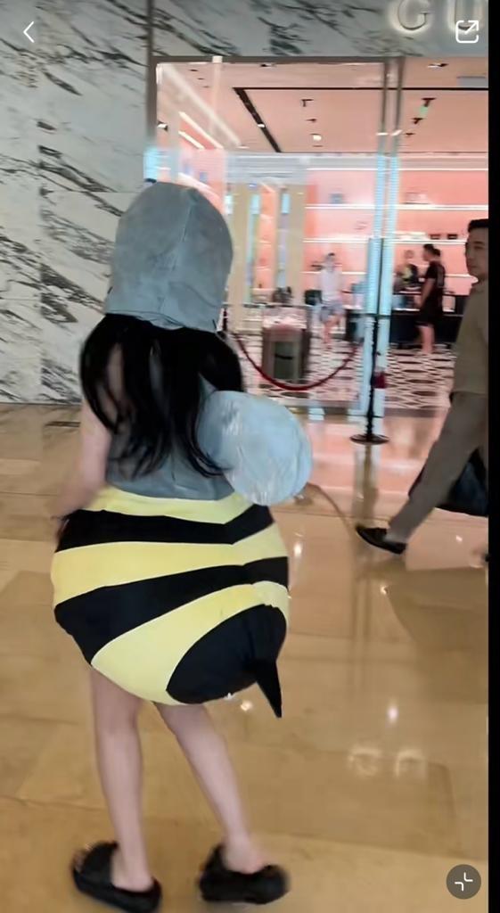 一身蜜蜂裝。(圖片來源:小紅書)