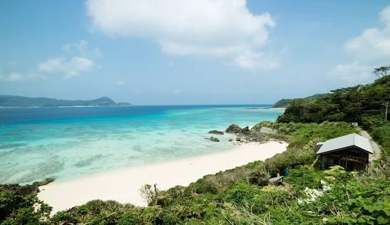 奄美大島已被列入世界自然遺產名錄。(互聯網)