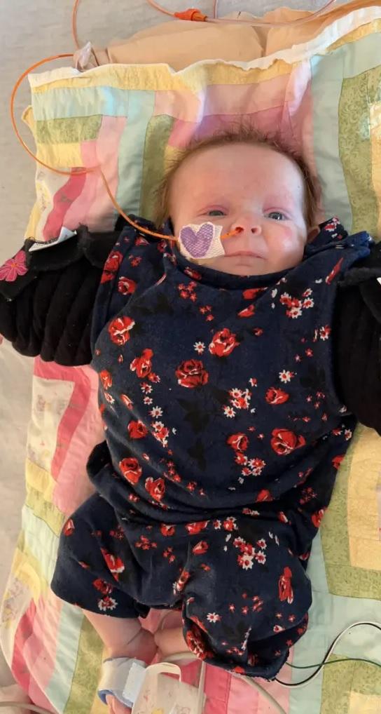 阿曼妮是奇蹟BB。(互聯網)