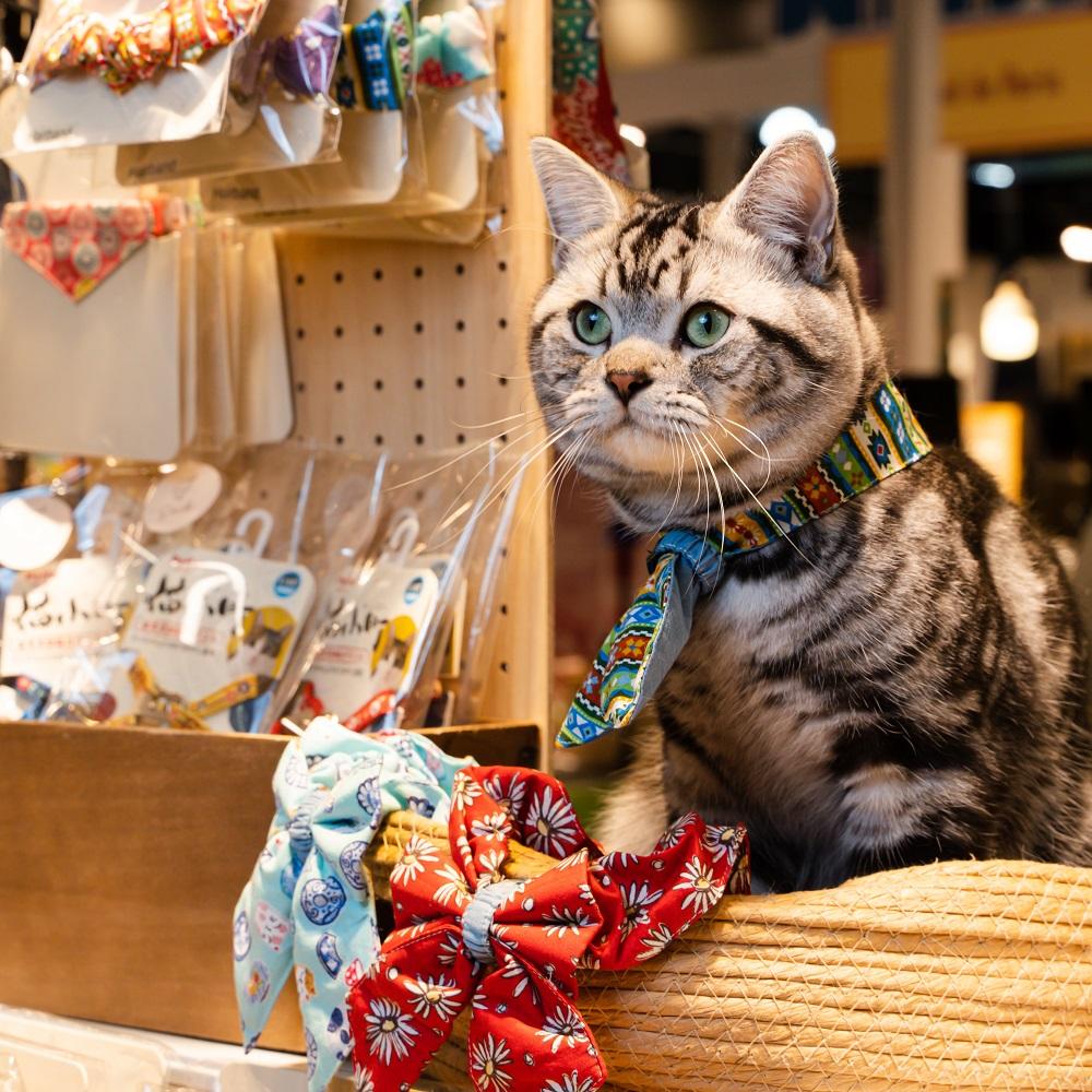 寵物飾品Smilo_handcrafted