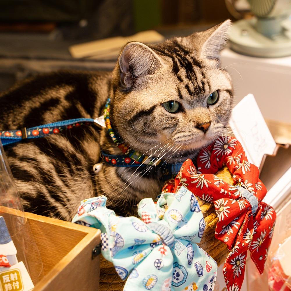 寵物飾品Smilo_handcrafted