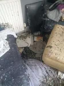 慘不忍睹。(互聯網)