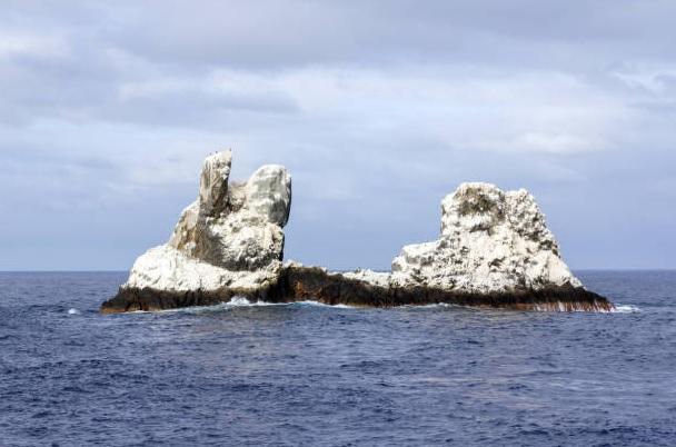 墨西哥著名的「雀屎島」Roca Partida。(互聯網)