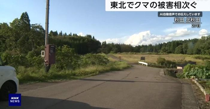 秋田縣老翁被熊隻襲擊。(互聯網)