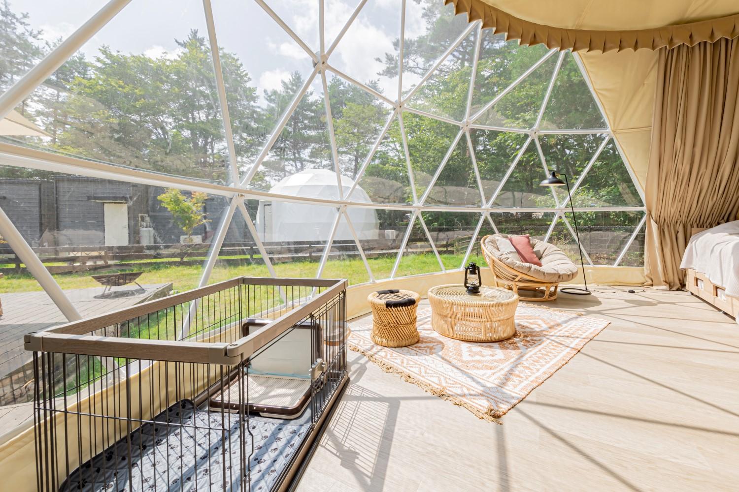 東京自由行 |最新開設的Dog Forest Suite可以帶埋愛犬一齊來Glamping。 ( 圖片來源:PRTIMES)