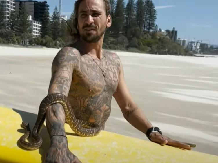 澳洲男子帶寵物蛇滑浪被罰款。(影片截圖)