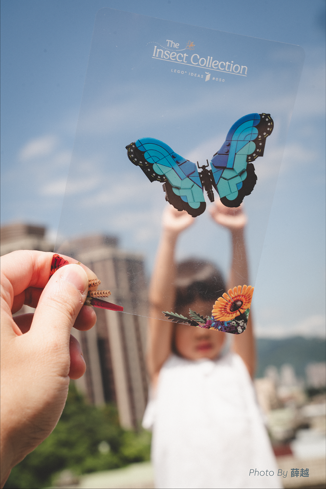 樂高昆蟲透明片