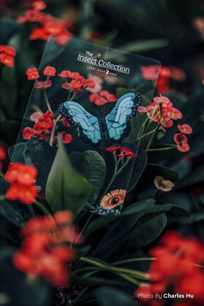 樂高昆蟲透明片