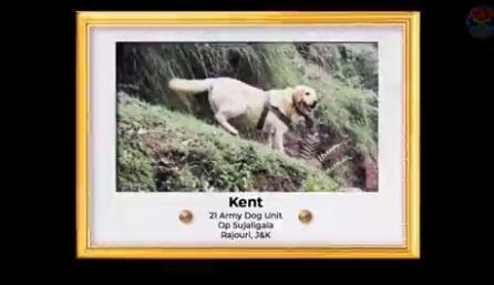 國防部向肯特致敬。(互聯網)