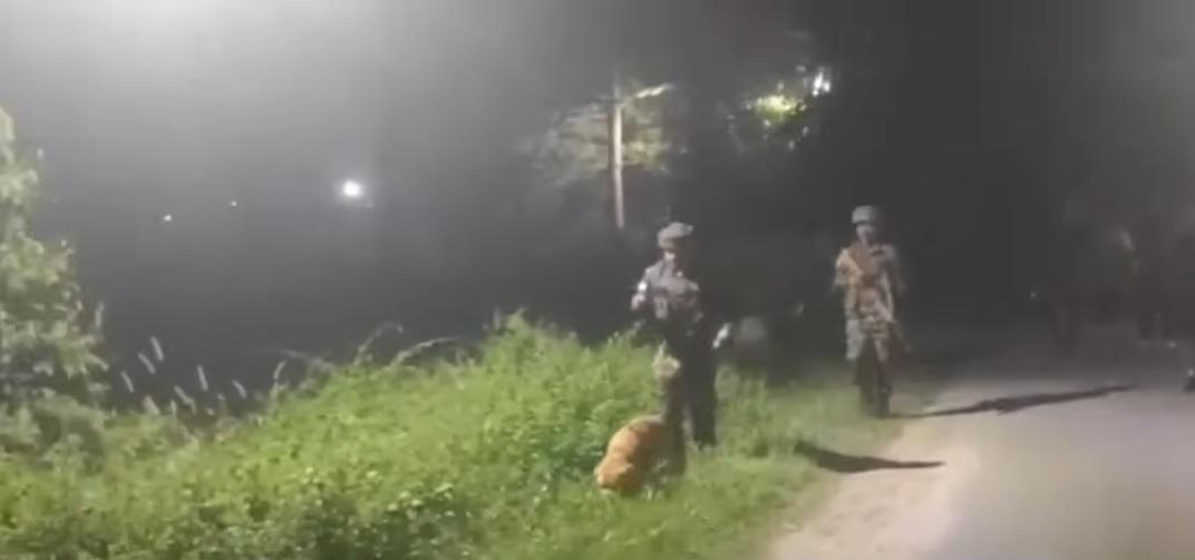 肯特生前執行任務,為士兵引路。(互聯網)