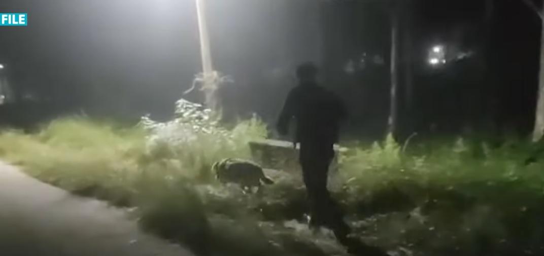 肯特生前執行任務,為士兵引路。(互聯網)