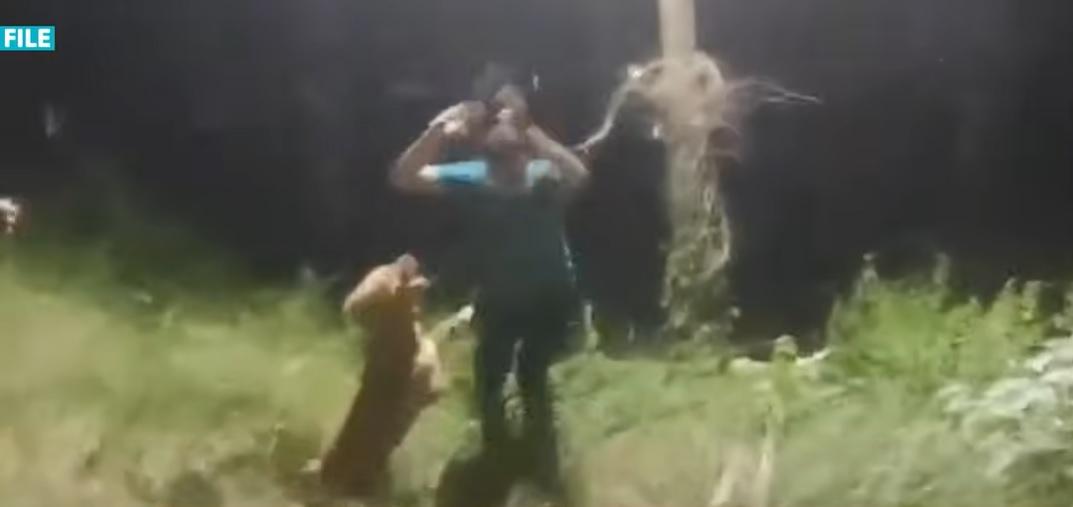 肯特狂吠可疑男子。(互聯網)