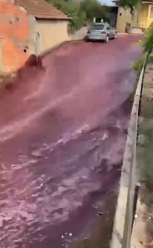 小鎮突現「紫紅色激流」。(互聯網)