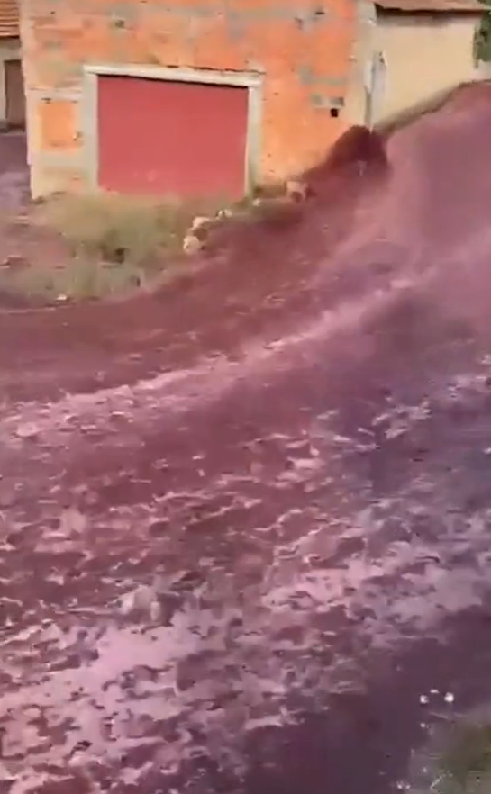 小鎮突現「紫紅色激流」。(互聯網)