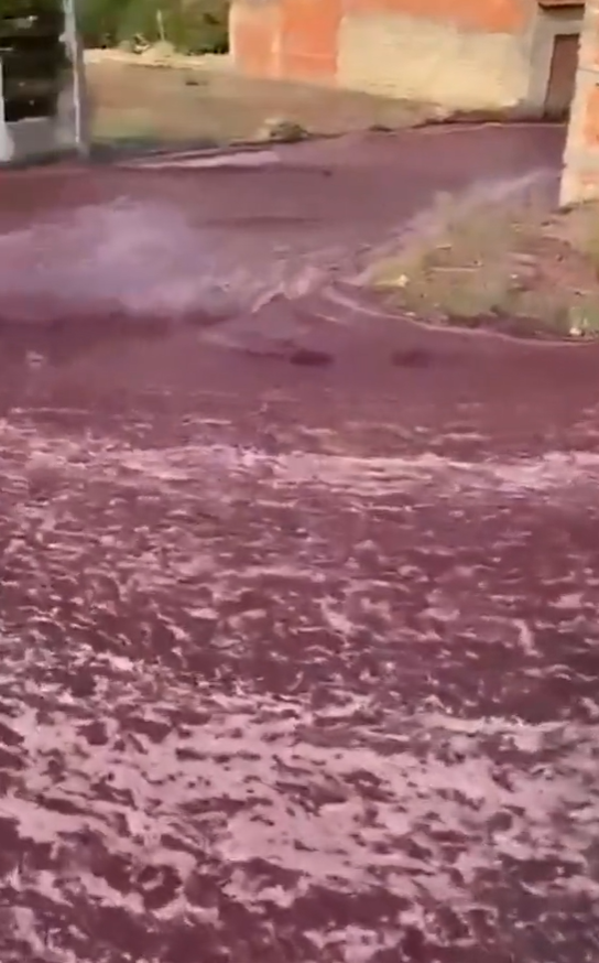 小鎮突現「紫紅色激流」。(互聯網)