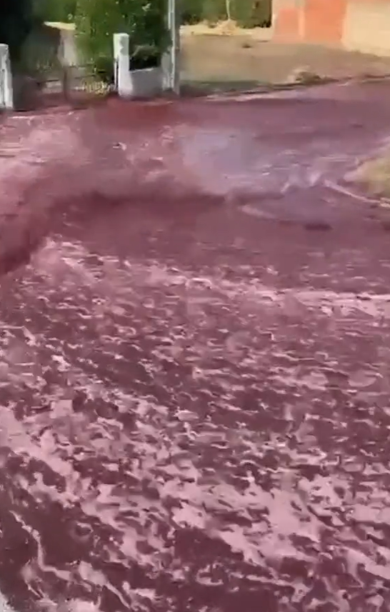 小鎮突現「紫紅色激流」。(互聯網)