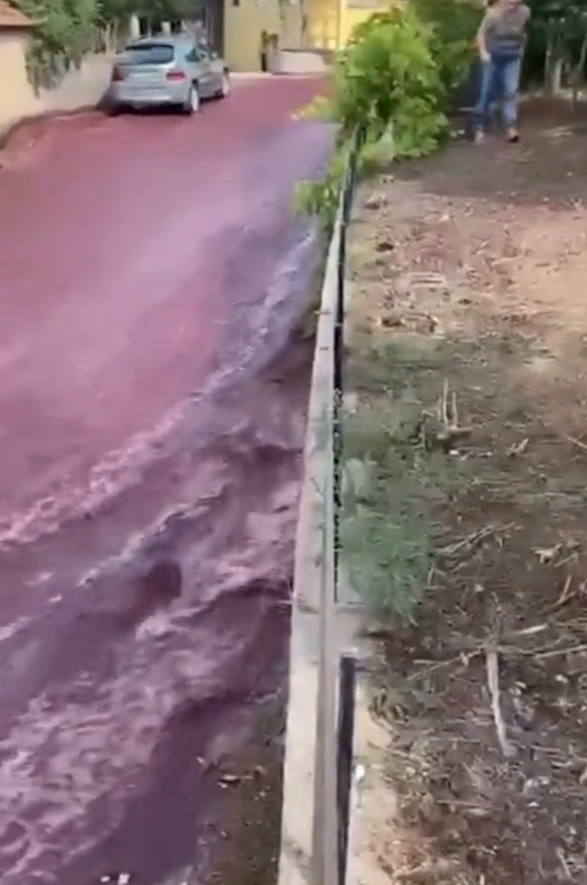 小鎮突現「紫紅色激流」。(互聯網)