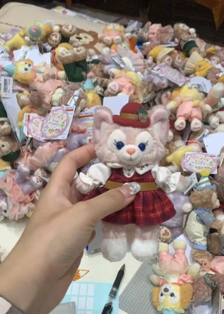 Duffy、LinaBell被內地代購買清光,僅得1款公仔無人問津(圖片來源:小紅書)