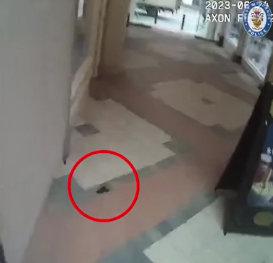 伯明翰|青年落樓梯時掉下手槍。(互聯網)