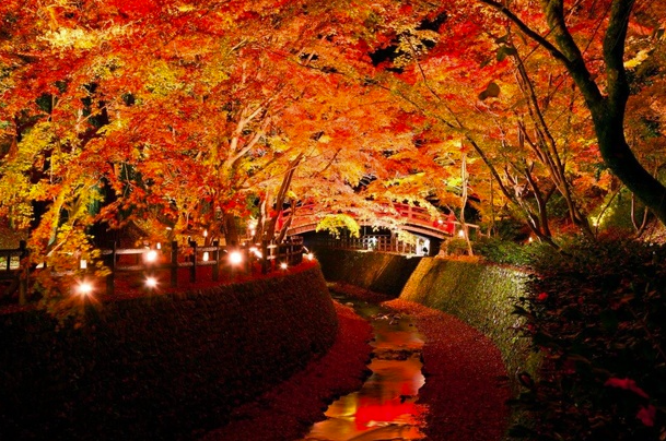 京都北野天滿宮 (圖片來源: 北野天滿宮官網)