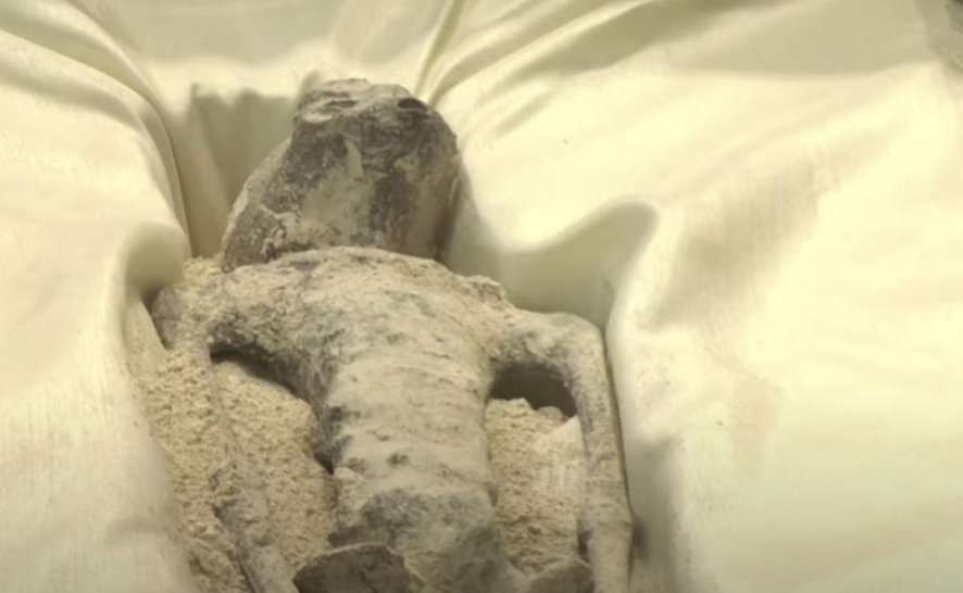 外星人遺骸|墨西哥國會日前公開兩具「非人類遺骸」,被指是外星人。(互聯網)