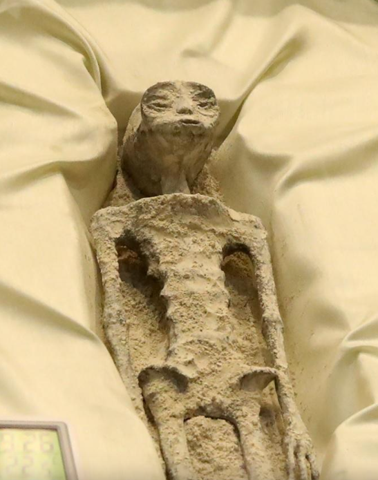 外星人遺骸|墨西哥國會日前公開兩具「非人類遺骸」,被指是外星人。(互聯網)