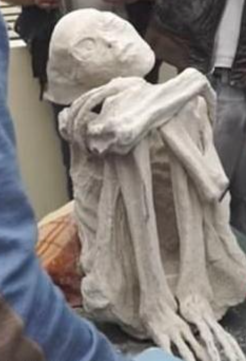 外星人遺骸|記者兼UFO研究員莫桑2018年亦曾公開聲稱來自秘魯的「外星人遺骸」,但跟今次公開的並不相同。(資料圖片)