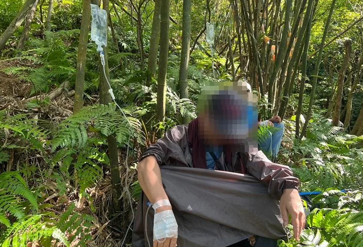 7男4女共11人被螫傷送醫,其中2人及後不治。(網上圖片)