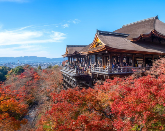 最經典的清水寺紅葉照片是站在奧之院拍攝清水舞台,可以遠眺京都塔及京都市貌。 (圖片來源:azamat-esmurziyev@Unsplash)