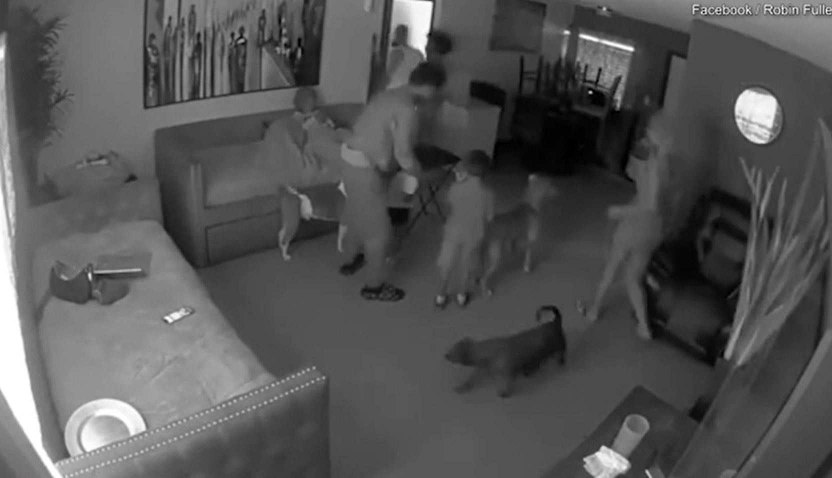 手槍亂放梳化 美3歲女童誤拿 開槍射爆手 嚇人片段曝光(有片)