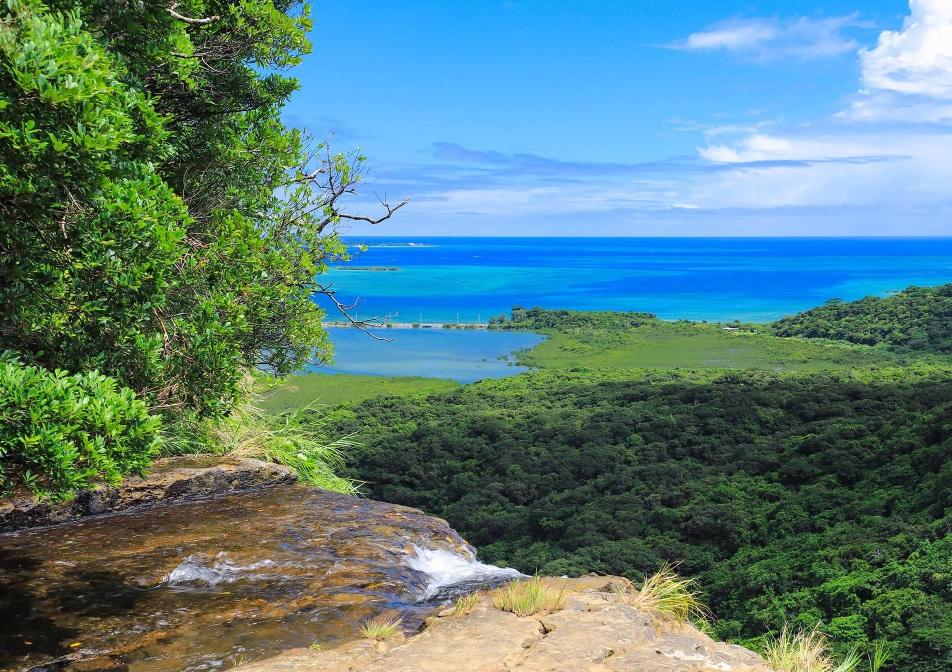沖繩竹富町西表島上的自然風光。(互聯網)