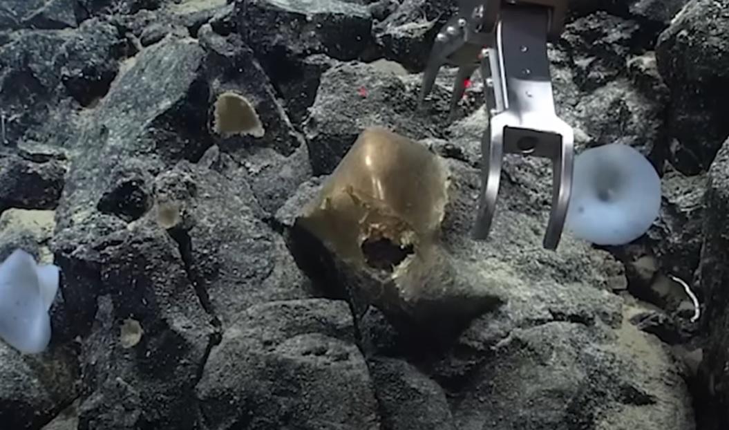 科學家用遙控工具測試「金蛋」。(互聯網)