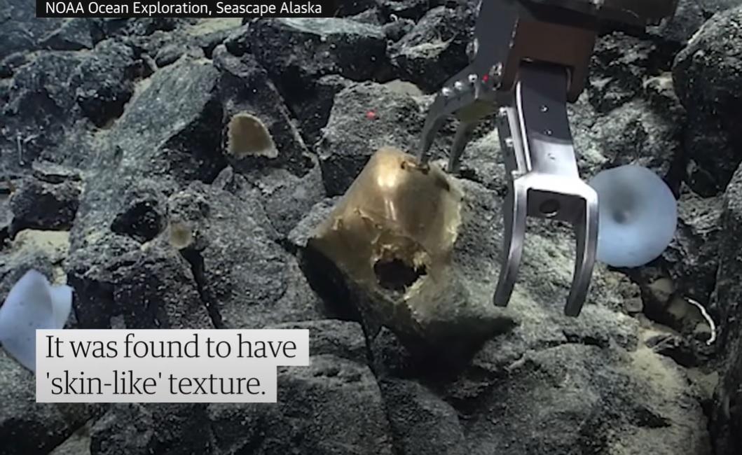 遙控工具戳穿「金蛋」。(互聯網)