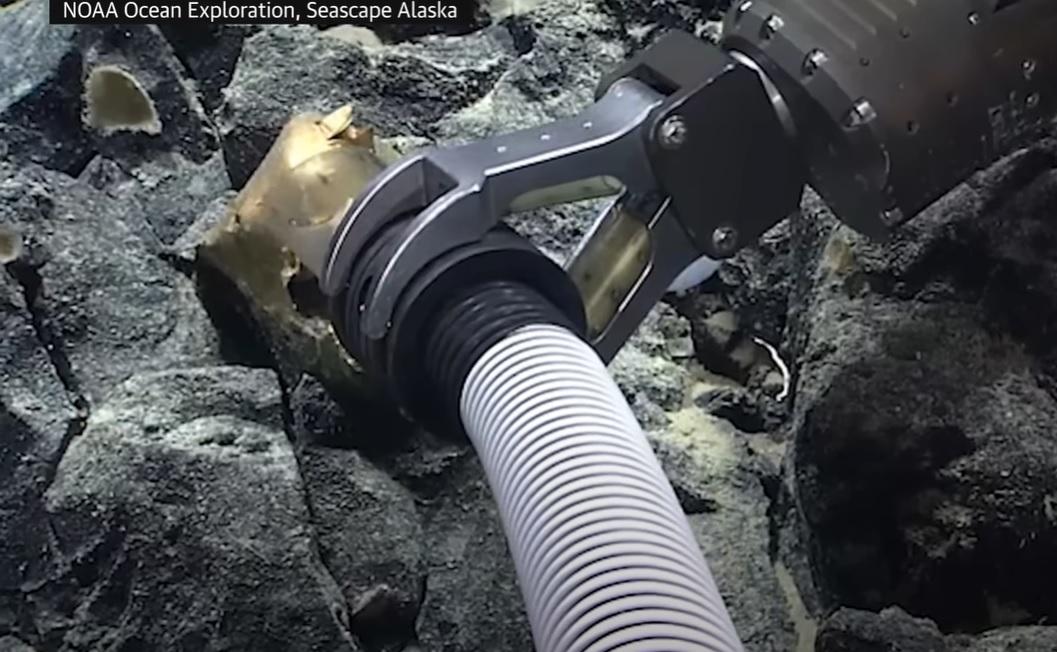 遙控工具吸走「金蛋」。(互聯網)