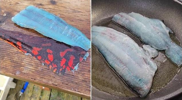 煮熟後,魚肉由藍變白。(互聯網)