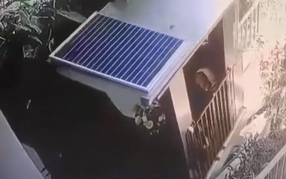 軌道傾斜超過35度的玻璃電梯。(X)