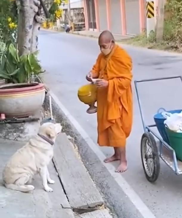 僧人早已留意到狗狗的真摯眼神,從身旁的行李中拿出化緣所得的三文治。(微博)