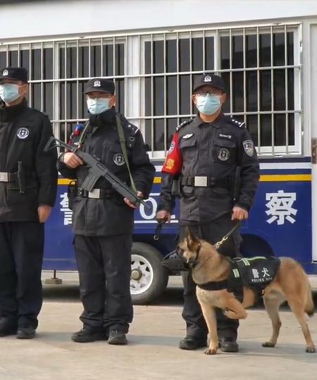 巴頓接受了比一般狗狗強度更大的訓練,並成功通過警犬考試,正式加入警犬隊。(微博)