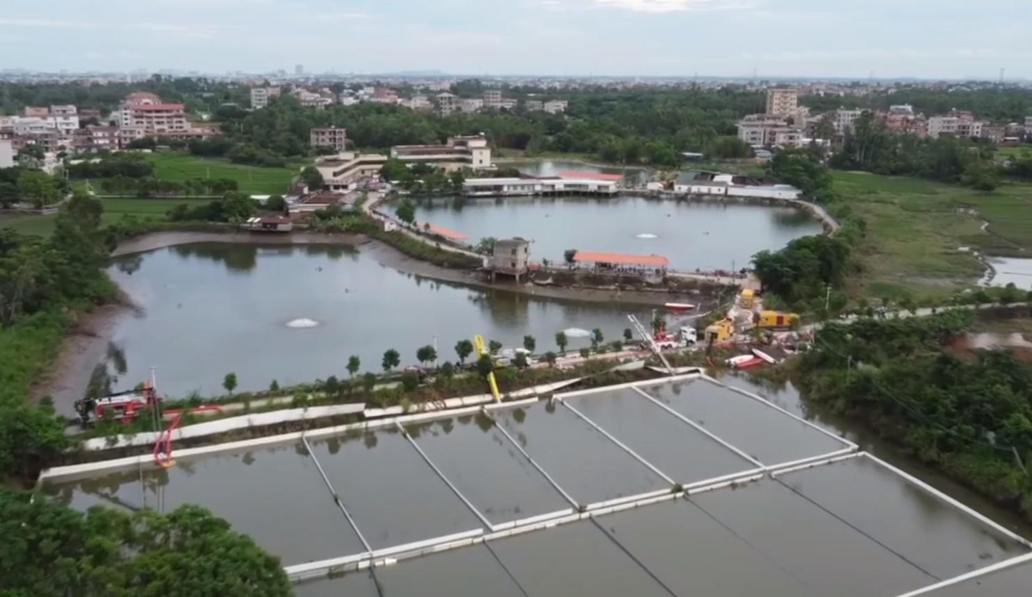 一間鱷魚養殖場的71條鱷魚因河水暴漲逃脫。(微博)