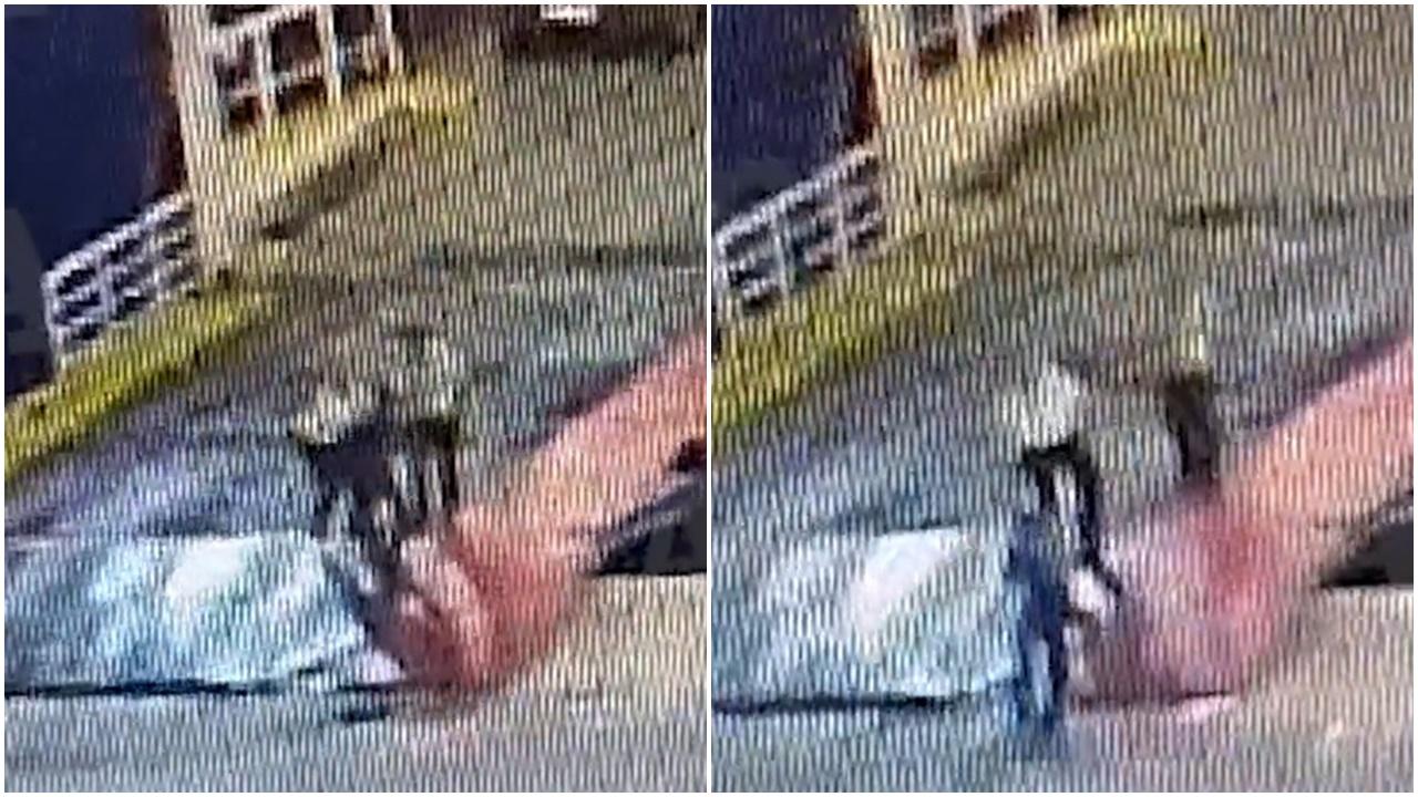 渡輪已經開始離港程序,男子衝上渡輪跳板,但遭跳板上2名船員阻止,其中一人將男子往後推回岸上。(X)