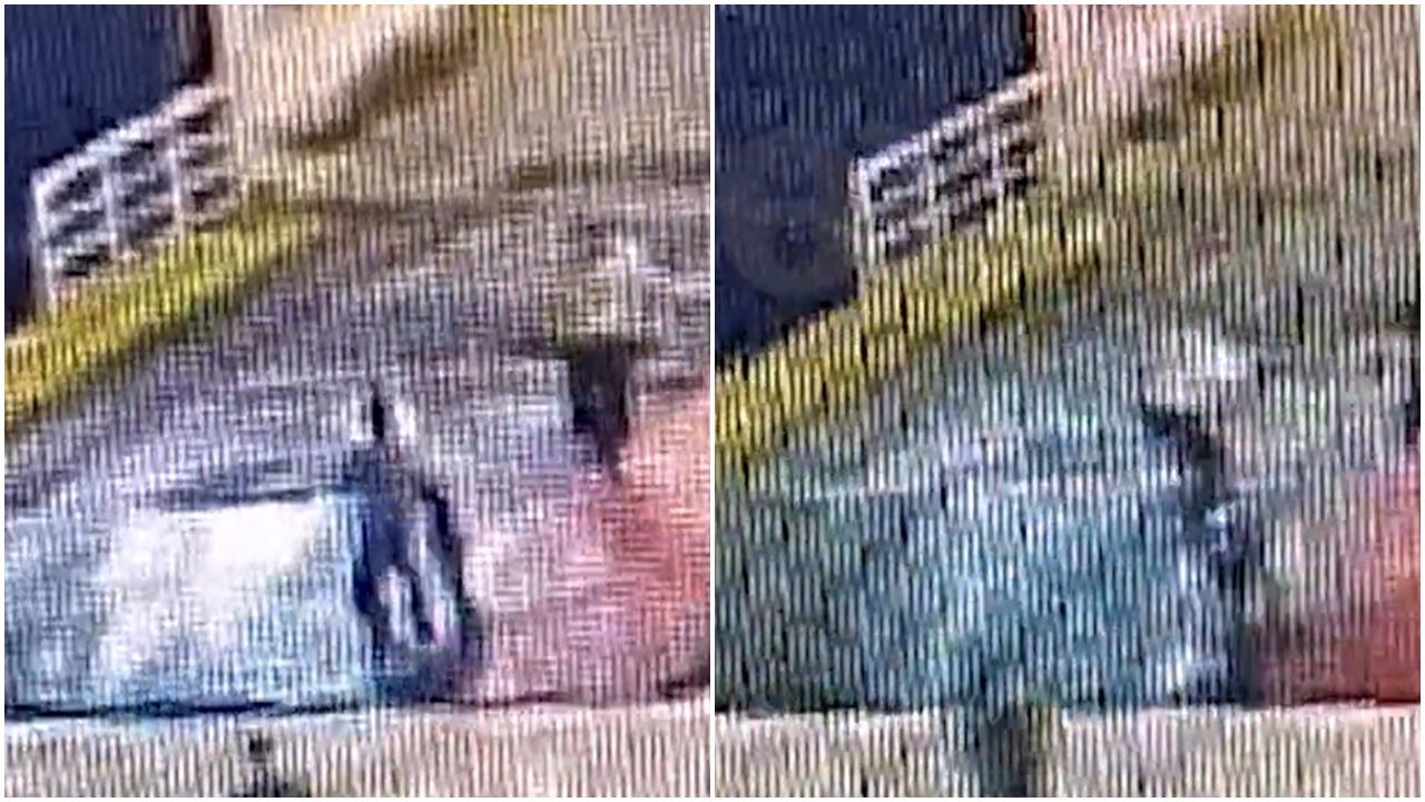 男子第二次想強登,船員再度推阻他,由於跳板已經和海港分離,那男子一時間失去了平衡,直接墮落海裡的湧流。(X)