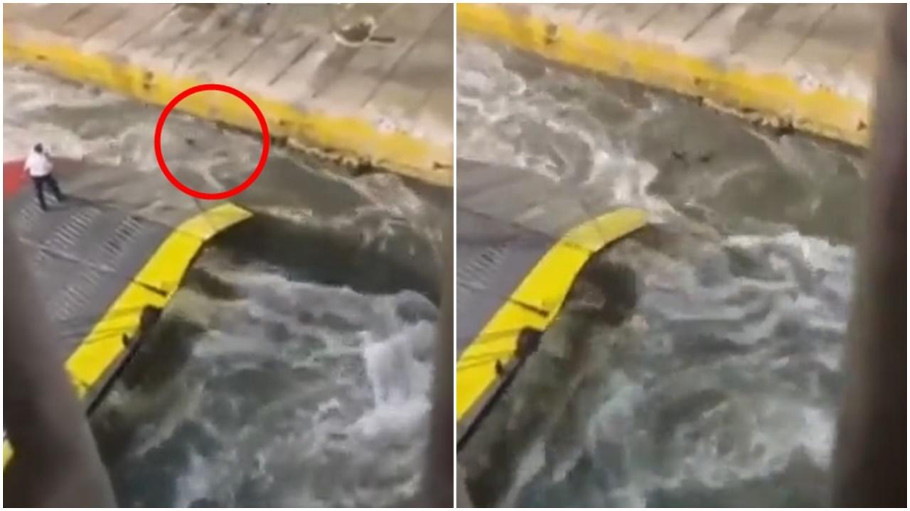 從另一個角度的CCTV畫面顯示,由於渡輪螺旋槳的力量,似乎令這名男子無法換氣或浮上海面。(X)