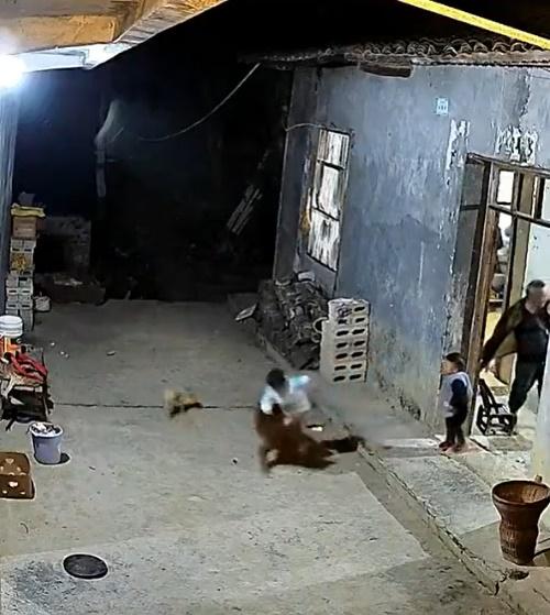 男童站在門口抬頭不知在看甚麼,一不留神就失足摔下台階。(微博)