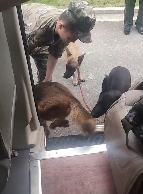 狗狗完全不聽新領犬員的指令,即使被拉下車,便由另一道車門登上副駕駛座。(微博)