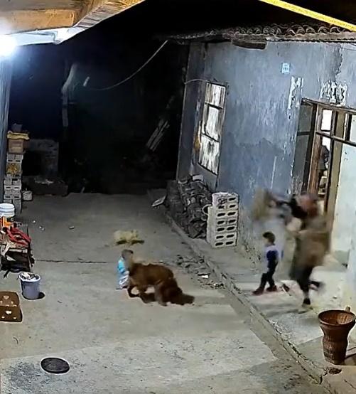 爺爺只見孫兒跌坐在狗狗身旁,以為孫兒被狗欺負,氣得立即掄起板凳向狗狗狠狠砸去。(微博)