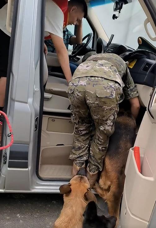 狗狗完全不聽新領犬員的指令,即使被拉下車,便由另一道車門登上副駕駛座。(微博)