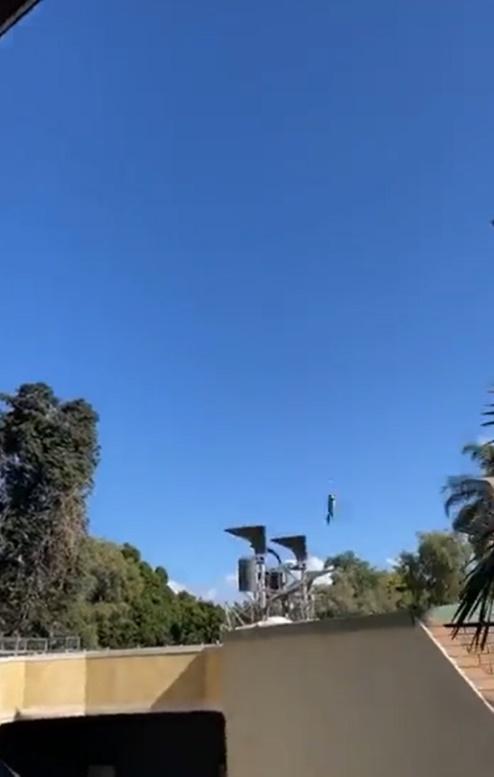 可憐的負鼠就在遊客的驚叫聲中,一路旋轉降落到隔籬園區。(X)